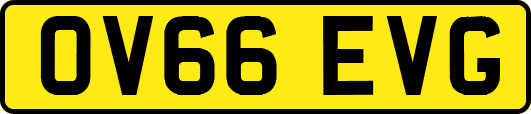 OV66EVG