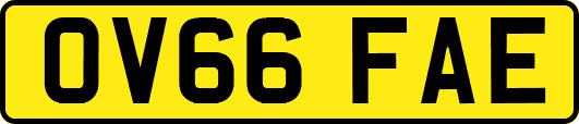 OV66FAE