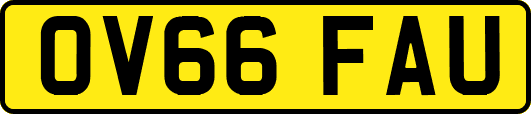 OV66FAU