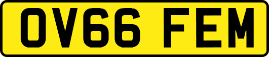 OV66FEM
