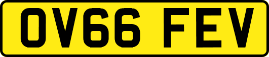 OV66FEV