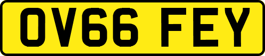 OV66FEY