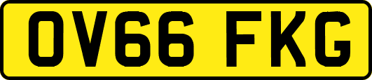 OV66FKG