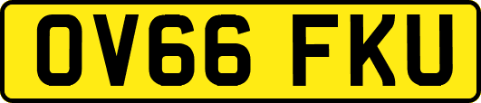 OV66FKU
