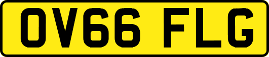 OV66FLG