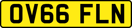 OV66FLN