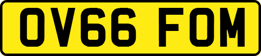 OV66FOM