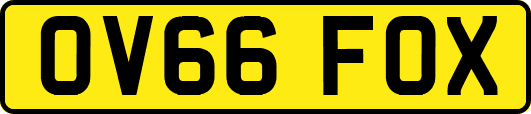 OV66FOX