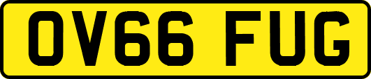 OV66FUG