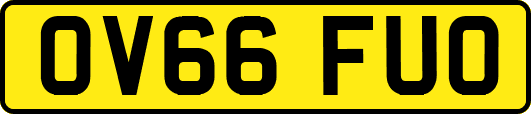 OV66FUO