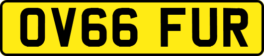 OV66FUR