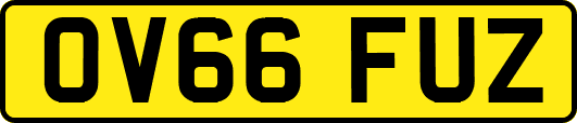 OV66FUZ