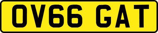 OV66GAT