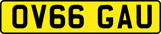 OV66GAU