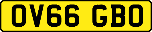 OV66GBO