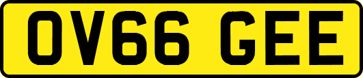 OV66GEE