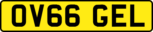 OV66GEL
