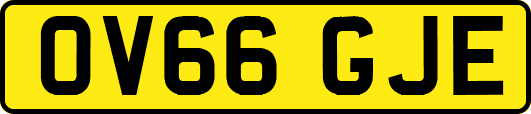 OV66GJE