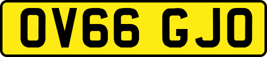OV66GJO