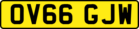 OV66GJW