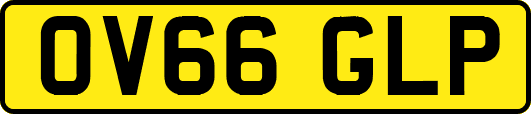 OV66GLP