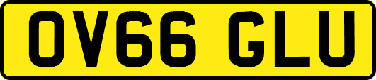 OV66GLU