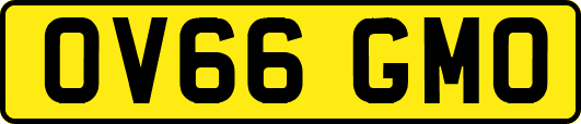 OV66GMO