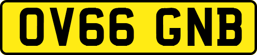 OV66GNB