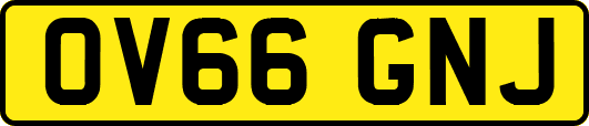 OV66GNJ