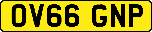 OV66GNP