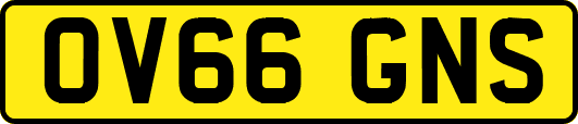 OV66GNS