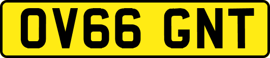 OV66GNT