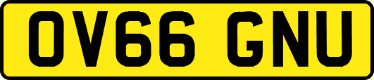 OV66GNU