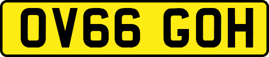 OV66GOH