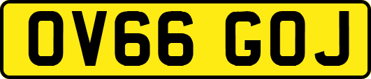 OV66GOJ