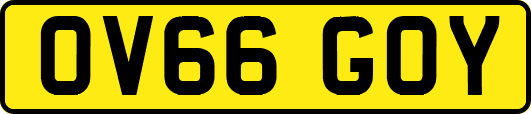 OV66GOY