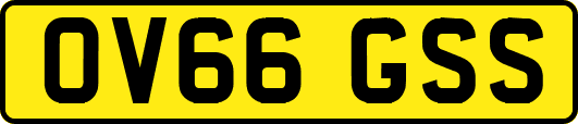 OV66GSS