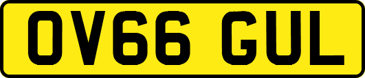 OV66GUL