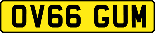 OV66GUM