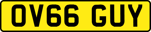 OV66GUY