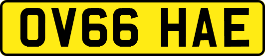 OV66HAE