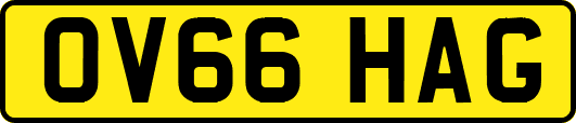 OV66HAG