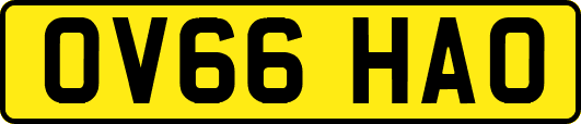 OV66HAO