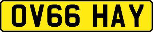 OV66HAY