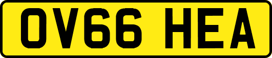 OV66HEA