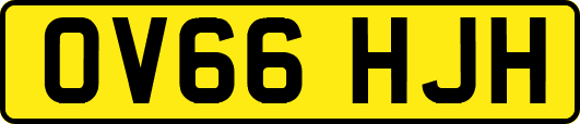 OV66HJH