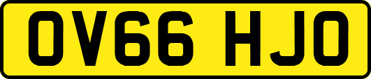 OV66HJO