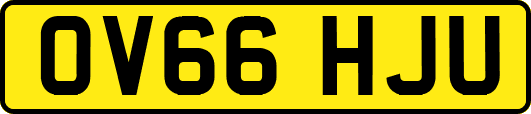 OV66HJU