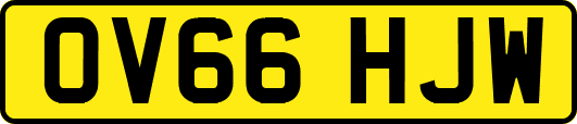 OV66HJW