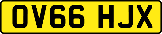 OV66HJX